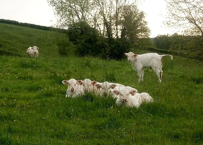 Gite A La Ferme