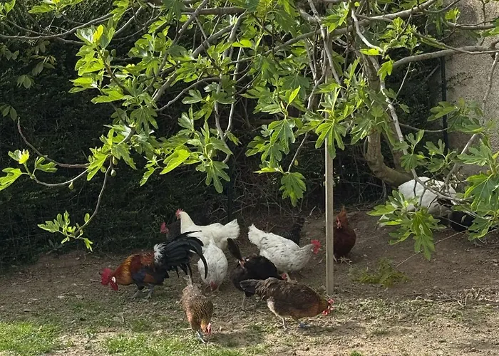 Gite A La Ferme